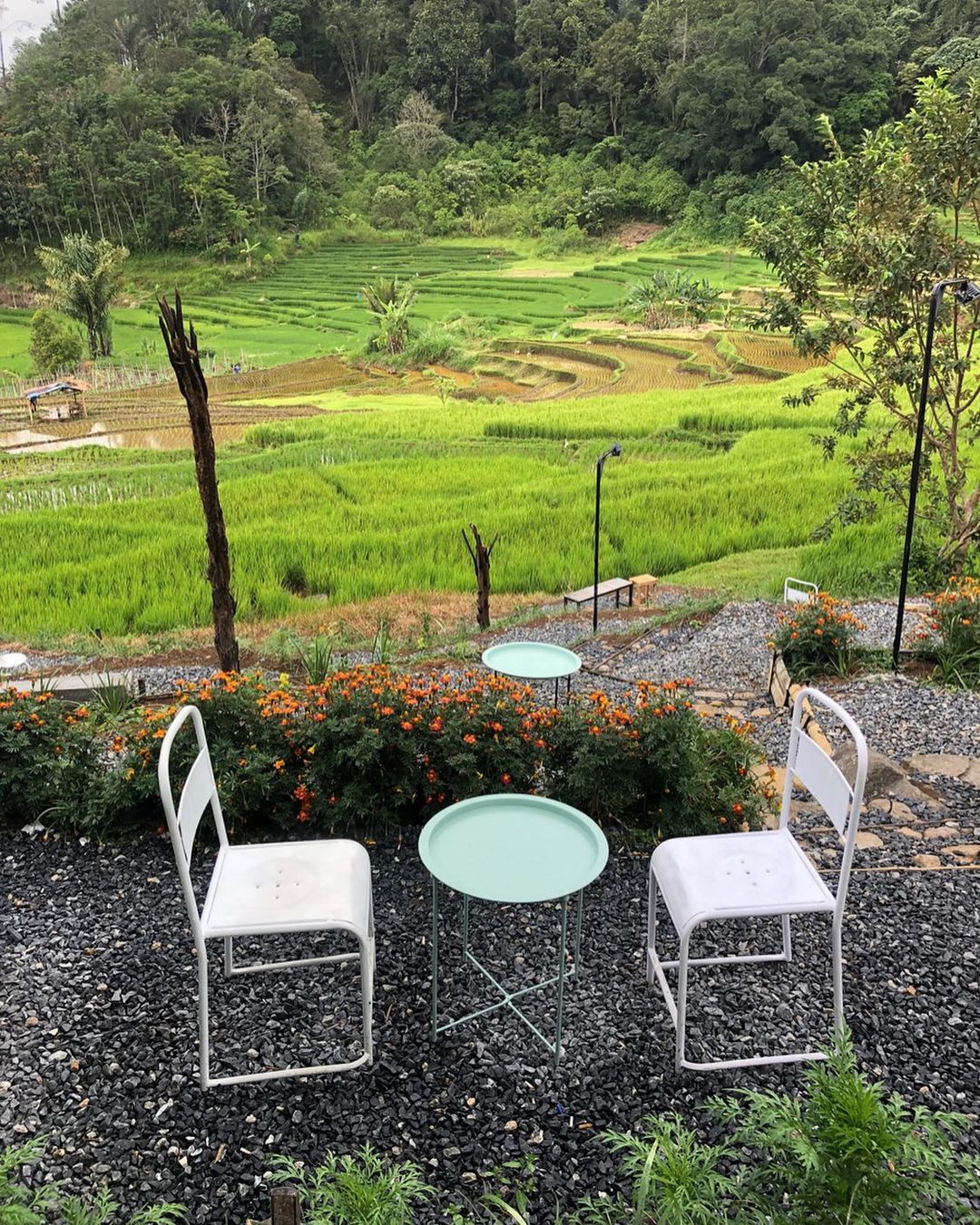 Cafe La Terra Sumatera Barat