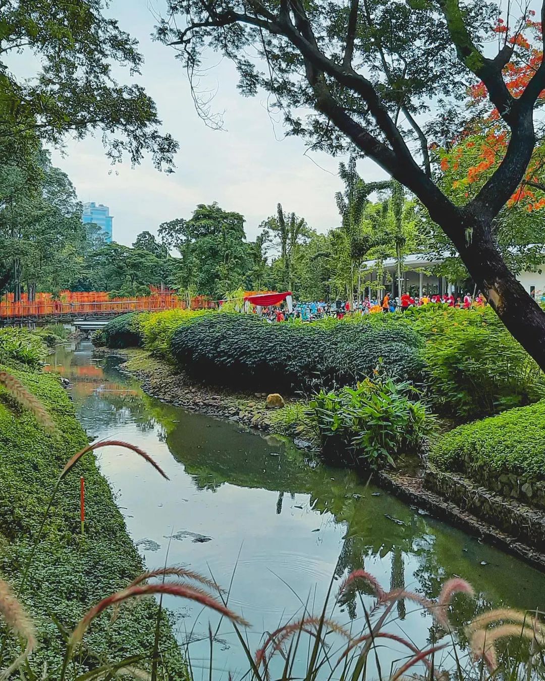 Daya Tarik Taman Tebet Eco Park Jakarta
