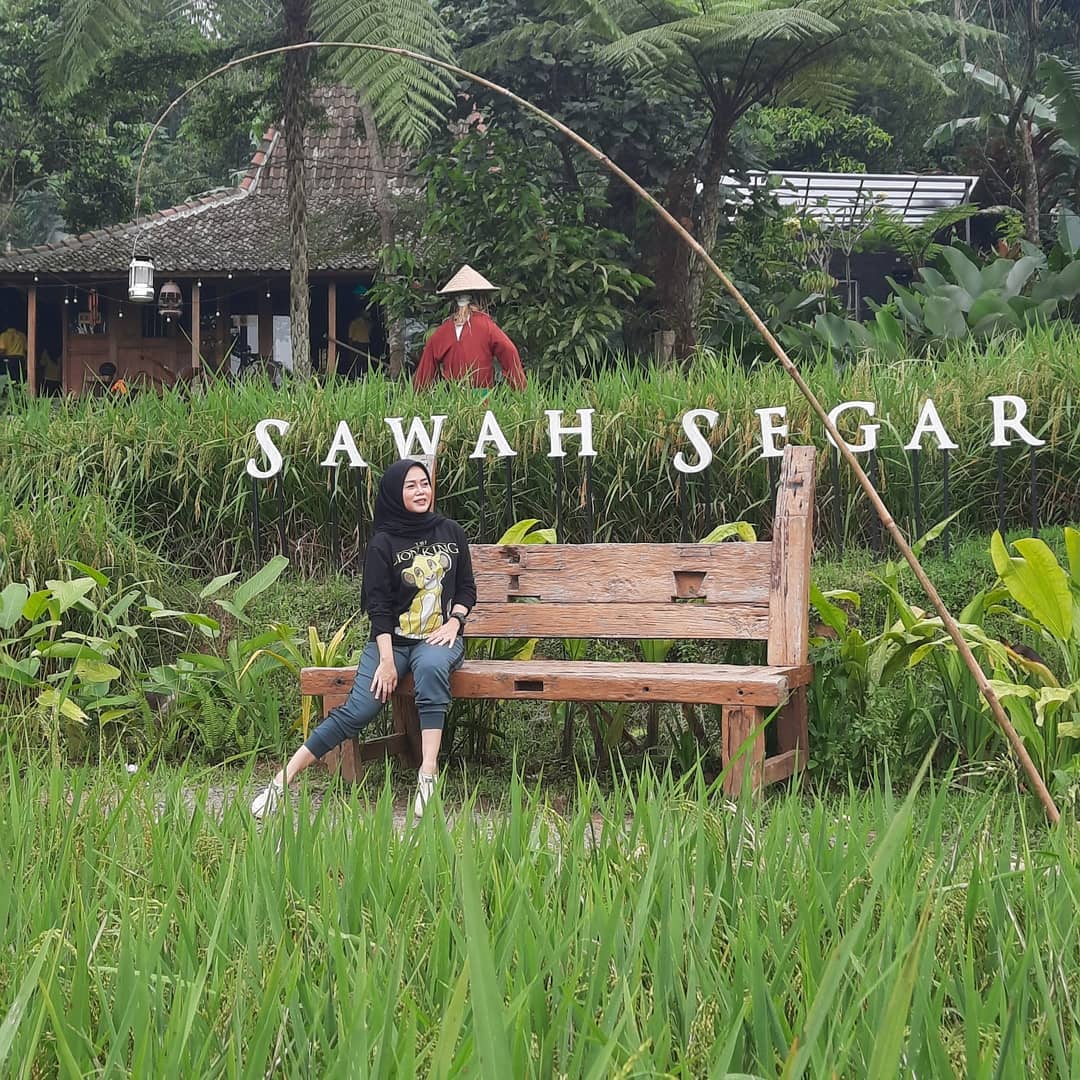 Sawah Segar Sentul Bogor Jawa Barat